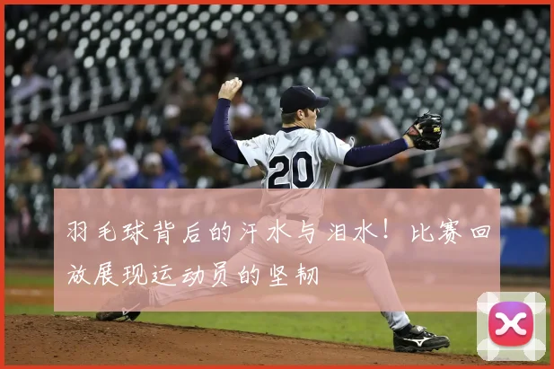 羽毛球背后的汗水与泪水！比赛回放展现运动员的坚韧