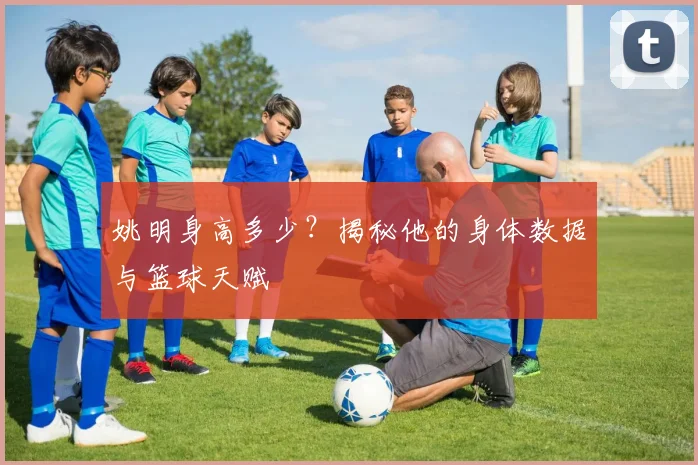 姚明身高多少？揭秘他的身体数据与篮球天赋